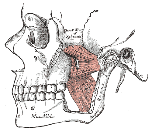 Osteo_blog