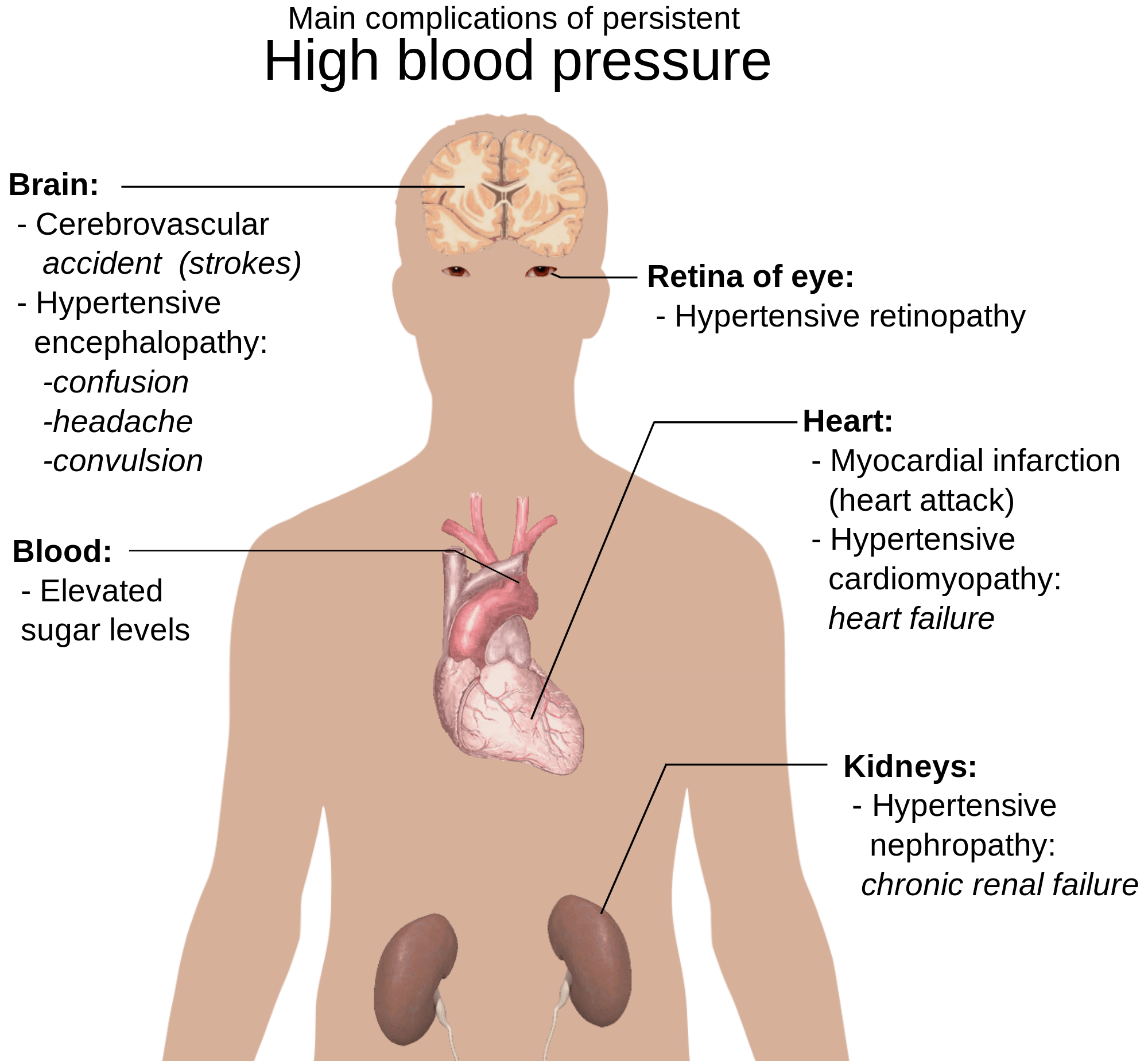 blood pressure info